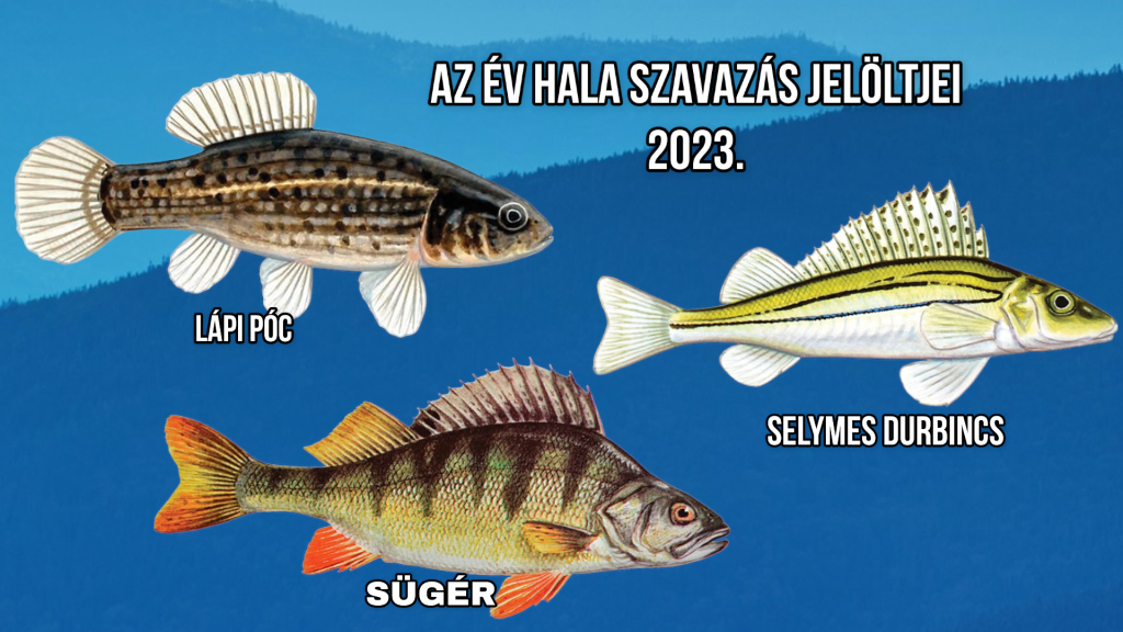 2022